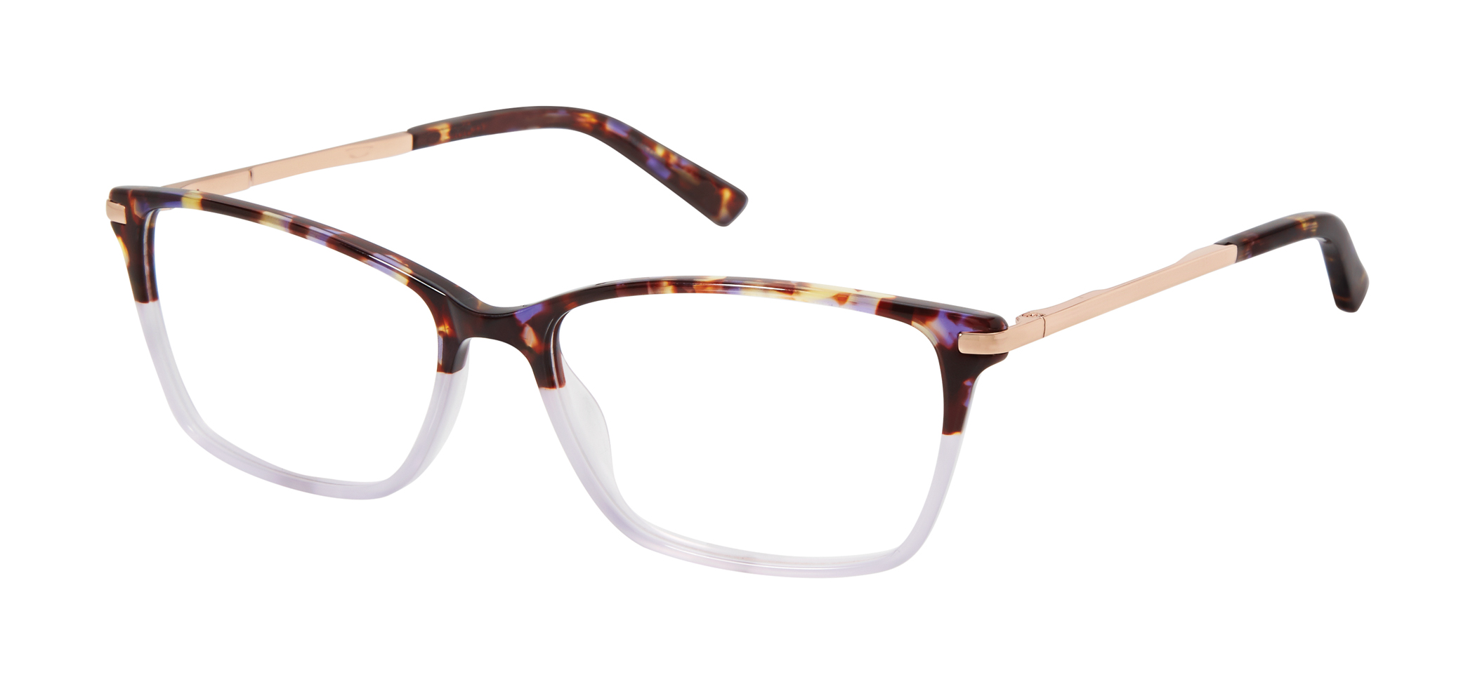 ted frames