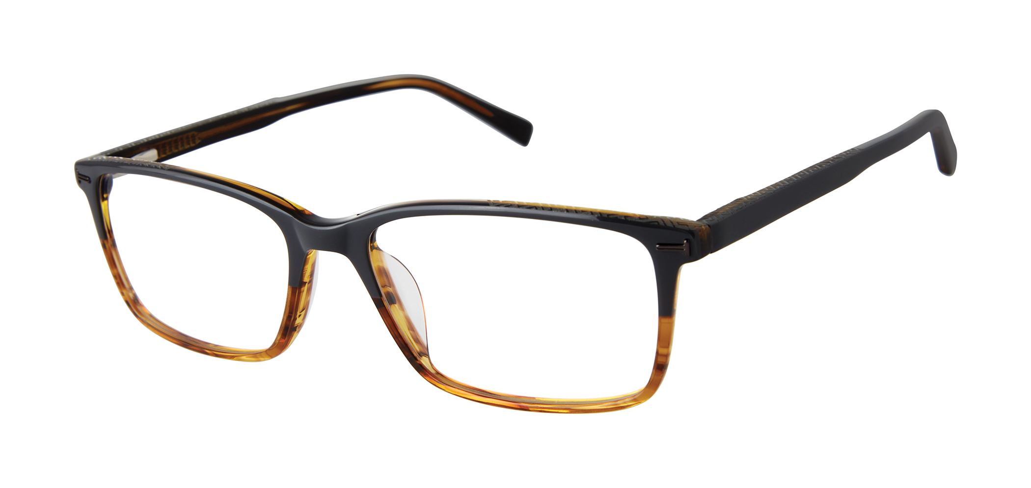 TFM013 - Ted Baker Optical | Tura